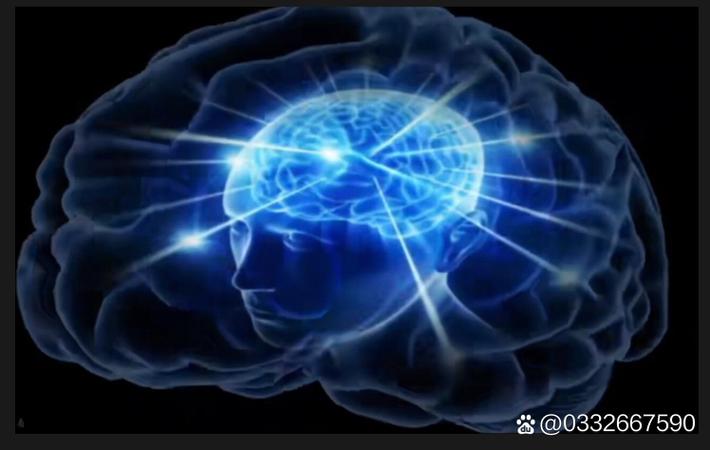 某知名网红直播间售假被曝光，粉丝集体脱粉回踩